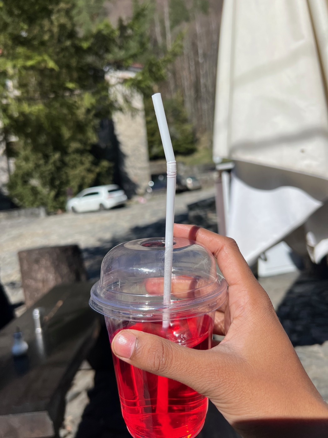Bright red fruit drink held against the Rila landscape